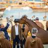 DAY 3 OF 2022 KATARA INTERNATIONAL ARABIAN HORSE FESTIVAL TITLE SHOW