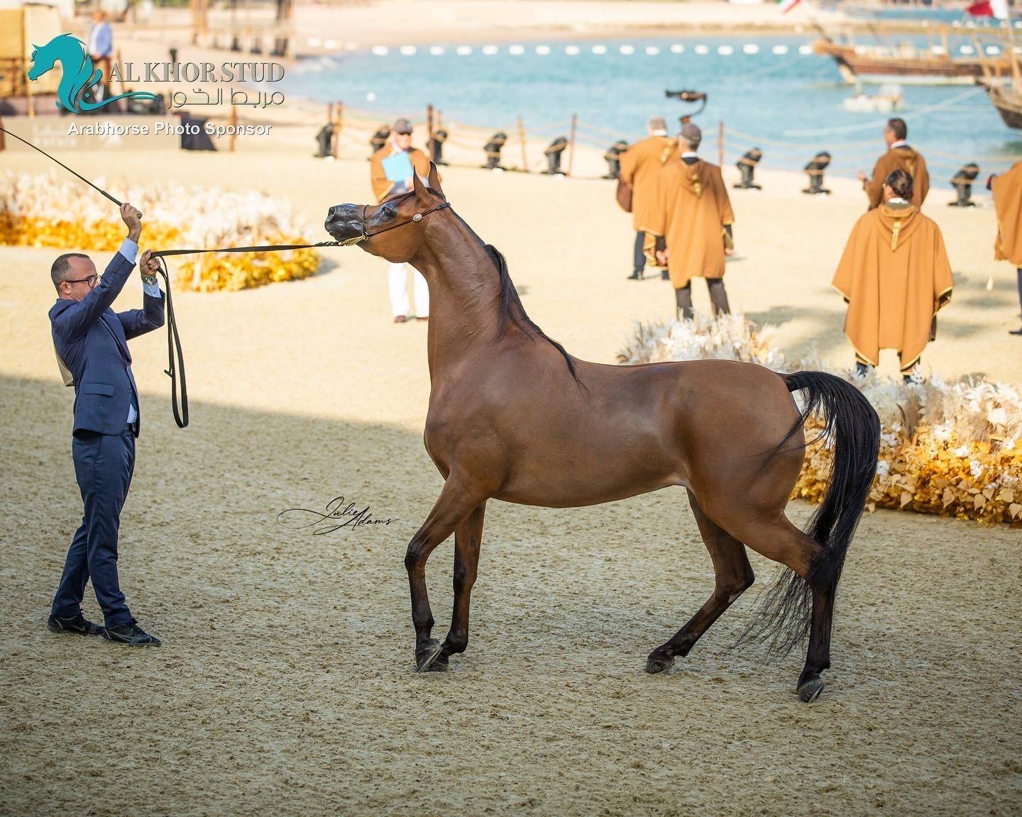 DAY 3 OF 2022 KATARA INTERNATIONAL ARABIAN HORSE FESTIVAL TITLE SHOW