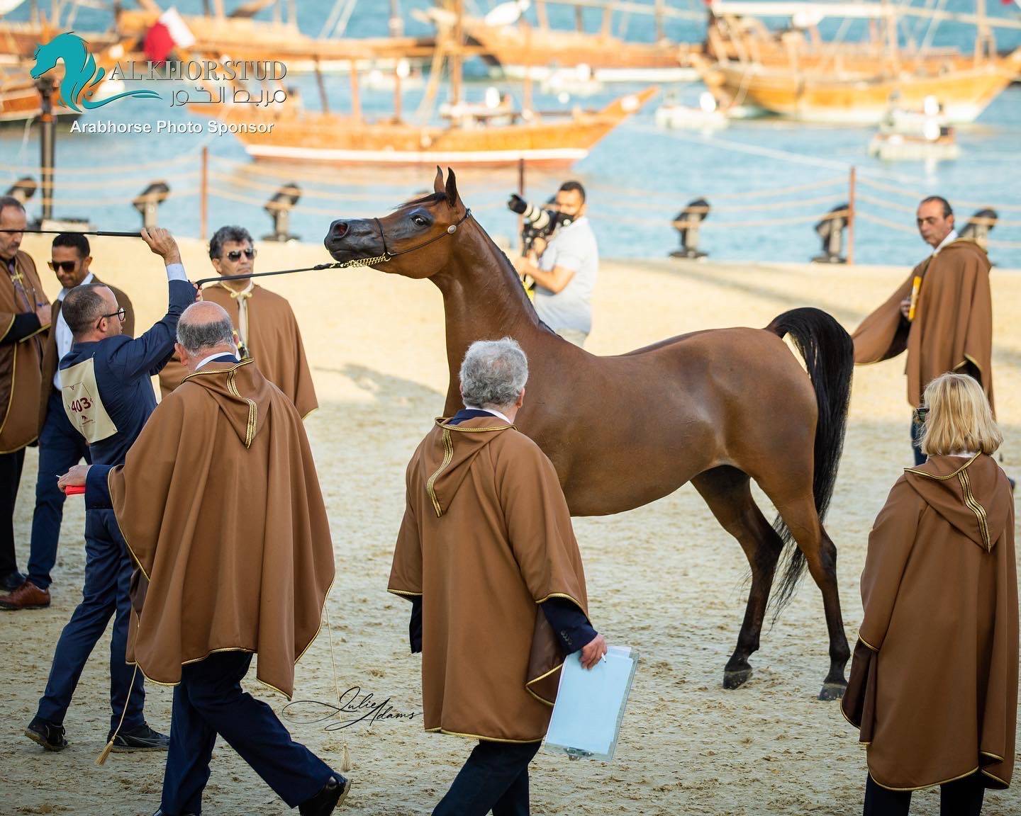 DAY 3 OF 2022 KATARA INTERNATIONAL ARABIAN HORSE FESTIVAL TITLE SHOW