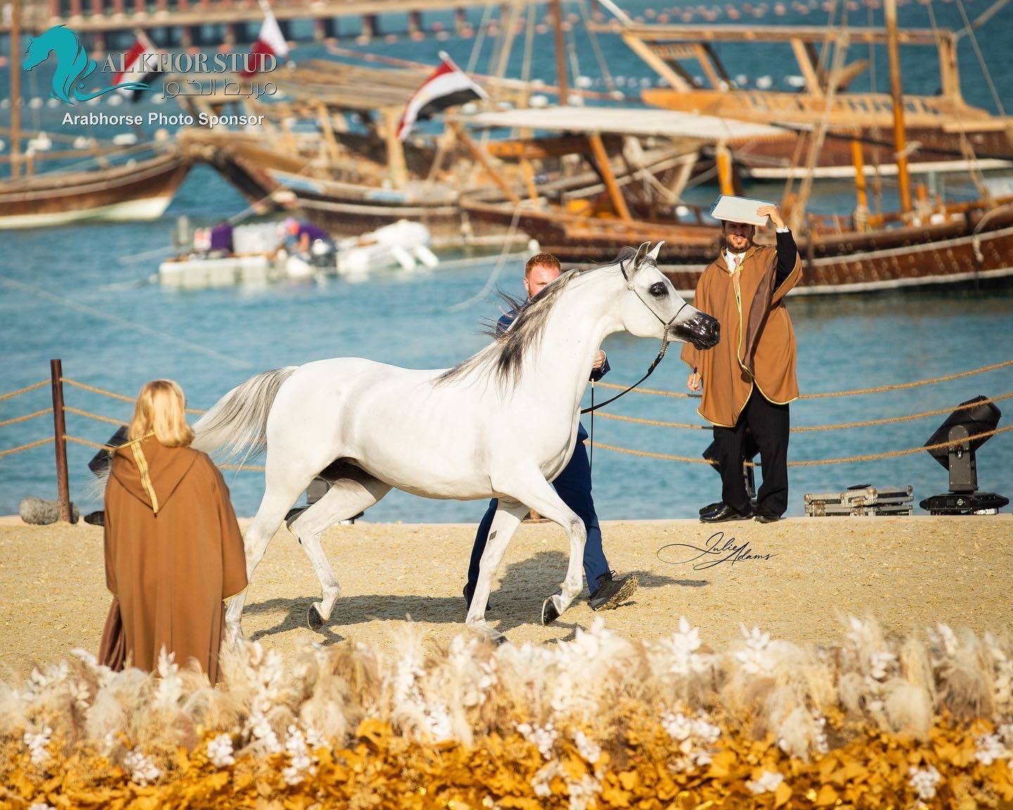 DAY 3 OF 2022 KATARA INTERNATIONAL ARABIAN HORSE FESTIVAL TITLE SHOW