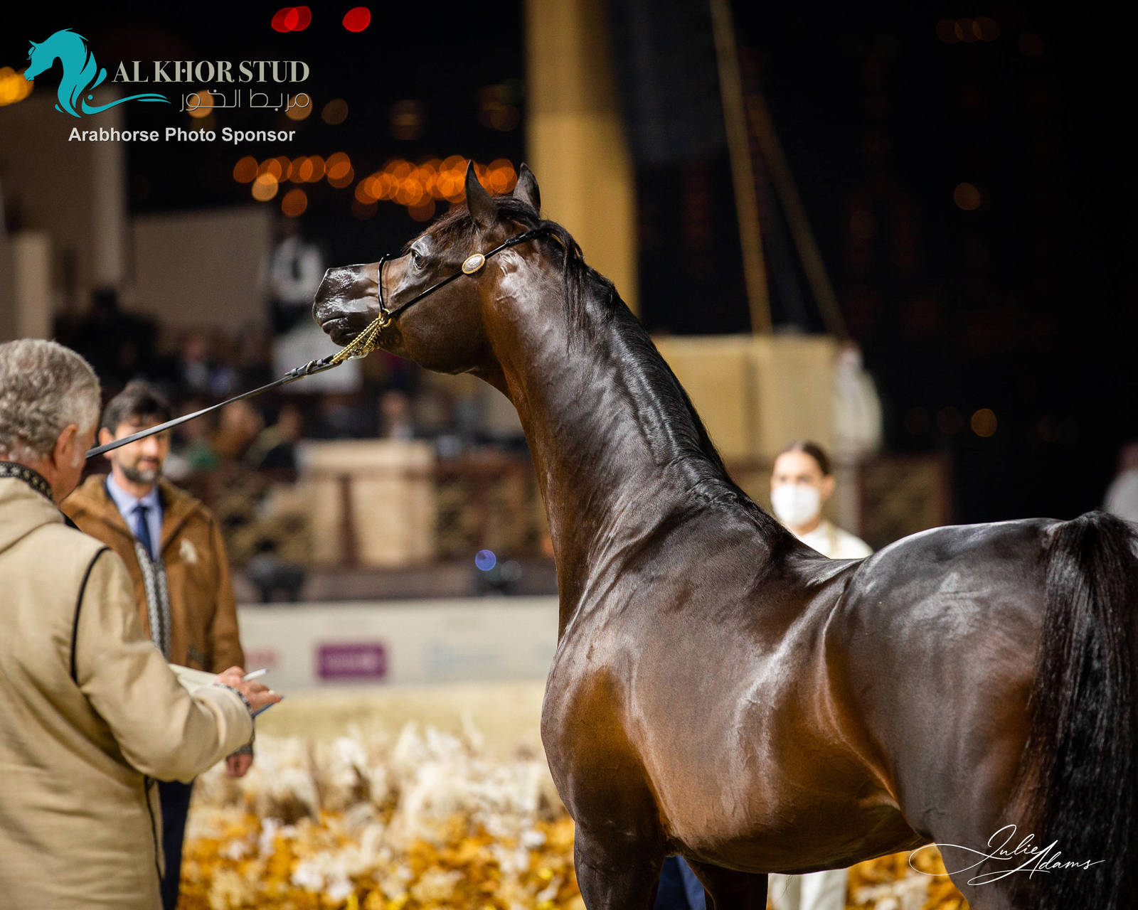 DAY 3 OF 2022 KATARA INTERNATIONAL ARABIAN HORSE FESTIVAL TITLE SHOW