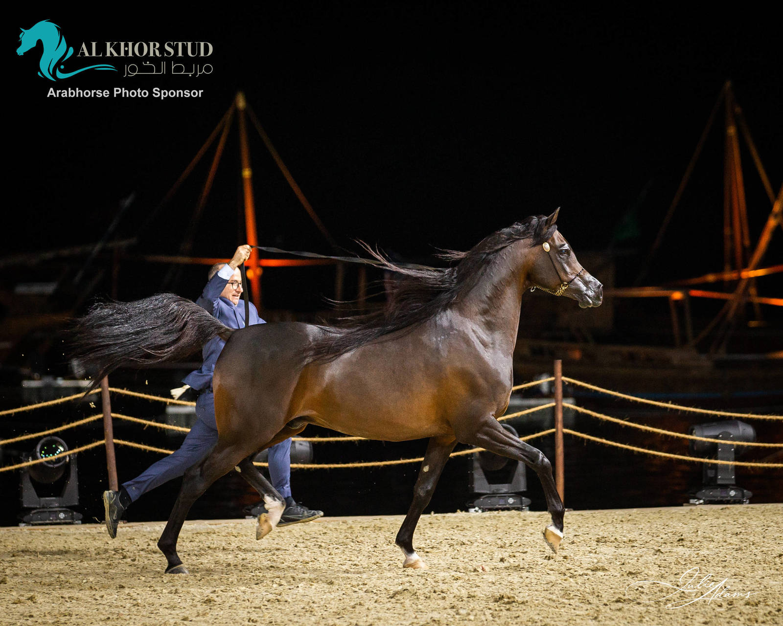 DAY 3 OF 2022 KATARA INTERNATIONAL ARABIAN HORSE FESTIVAL TITLE SHOW
