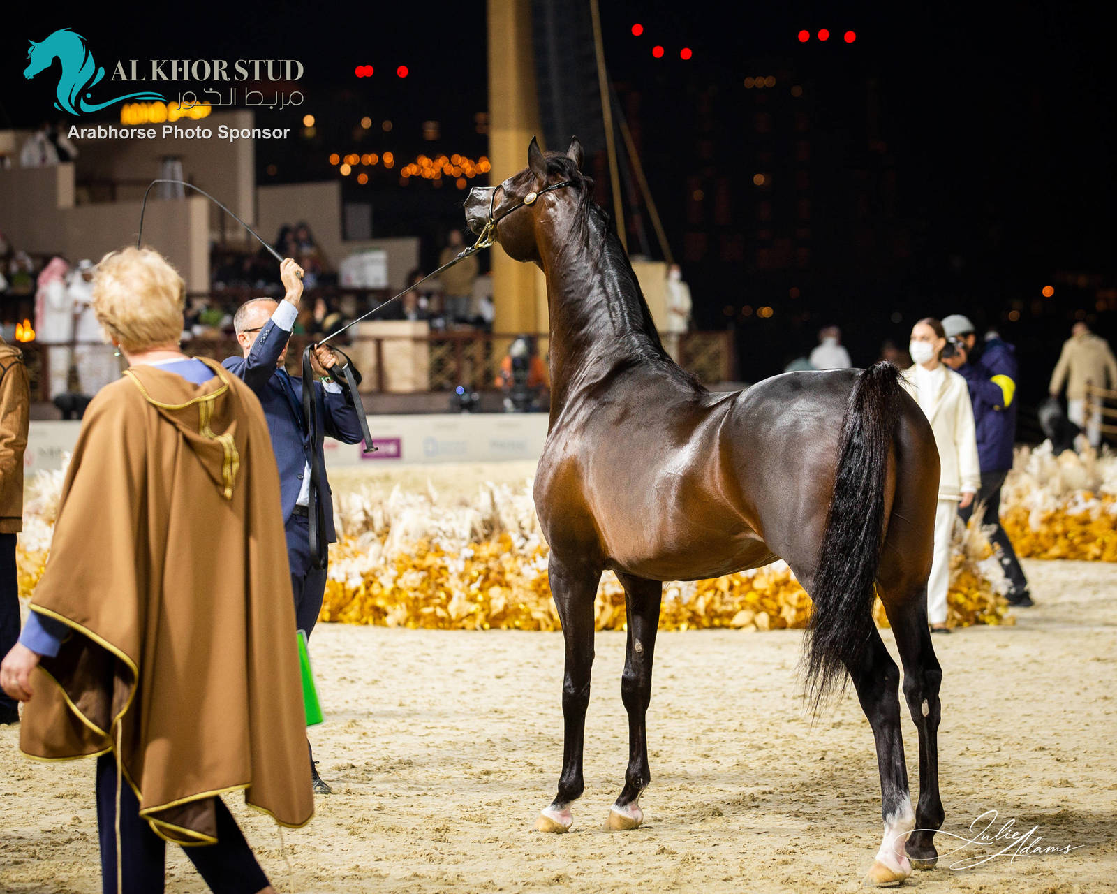 DAY 3 OF 2022 KATARA INTERNATIONAL ARABIAN HORSE FESTIVAL TITLE SHOW