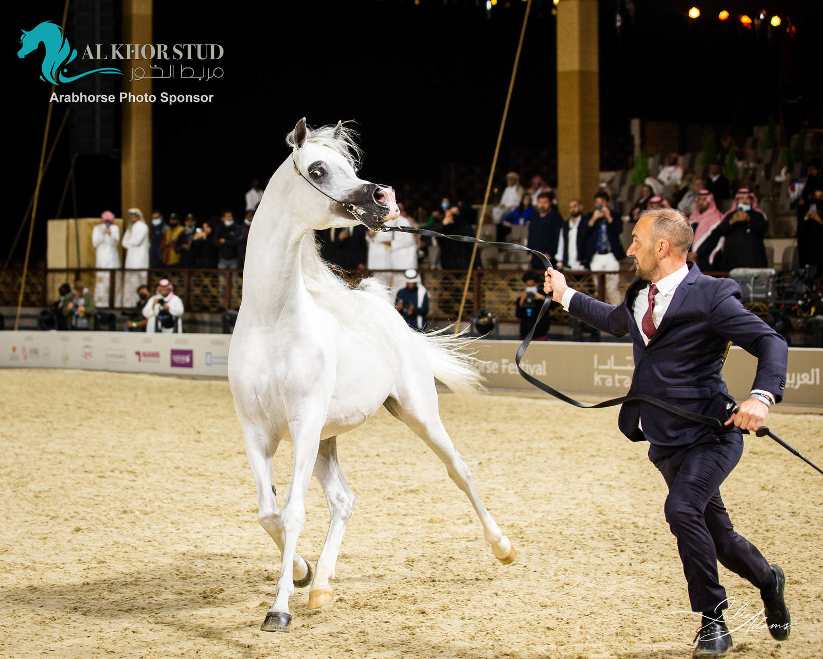 DAY 3 OF 2022 KATARA INTERNATIONAL ARABIAN HORSE FESTIVAL TITLE SHOW