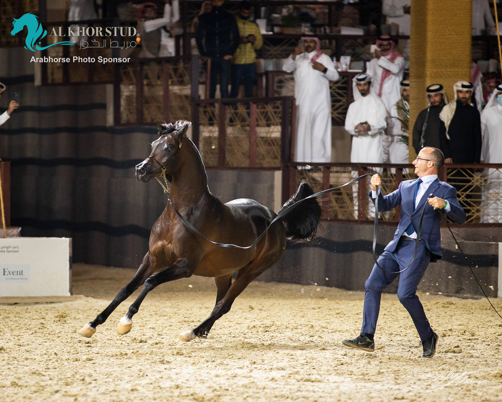 DAY 3 OF 2022 KATARA INTERNATIONAL ARABIAN HORSE FESTIVAL TITLE SHOW