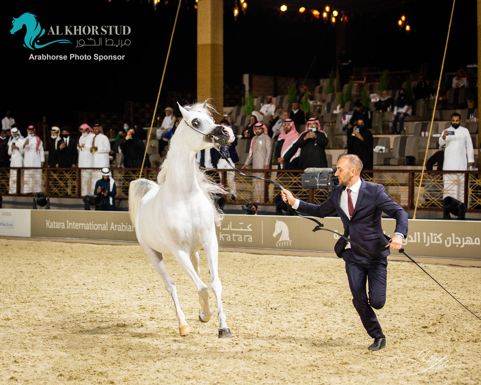DAY 3 OF 2022 KATARA INTERNATIONAL ARABIAN HORSE FESTIVAL TITLE SHOW