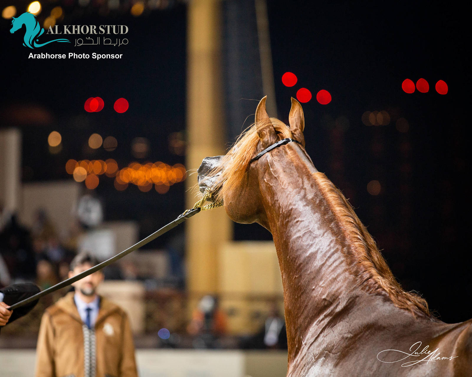 DAY 3 OF 2022 KATARA INTERNATIONAL ARABIAN HORSE FESTIVAL TITLE SHOW