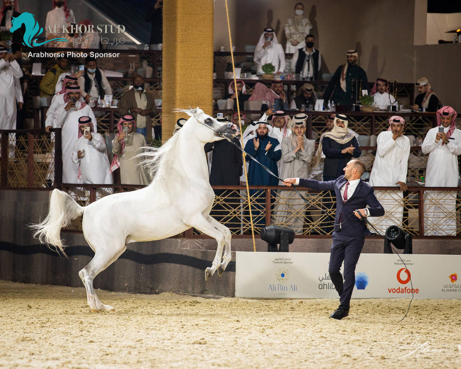 DAY 3 OF 2022 KATARA INTERNATIONAL ARABIAN HORSE FESTIVAL TITLE SHOW