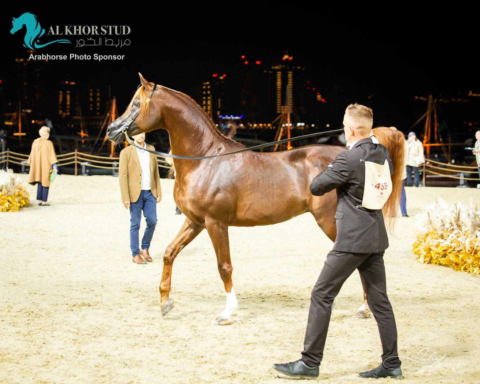 DAY 3 OF 2022 KATARA INTERNATIONAL ARABIAN HORSE FESTIVAL TITLE SHOW