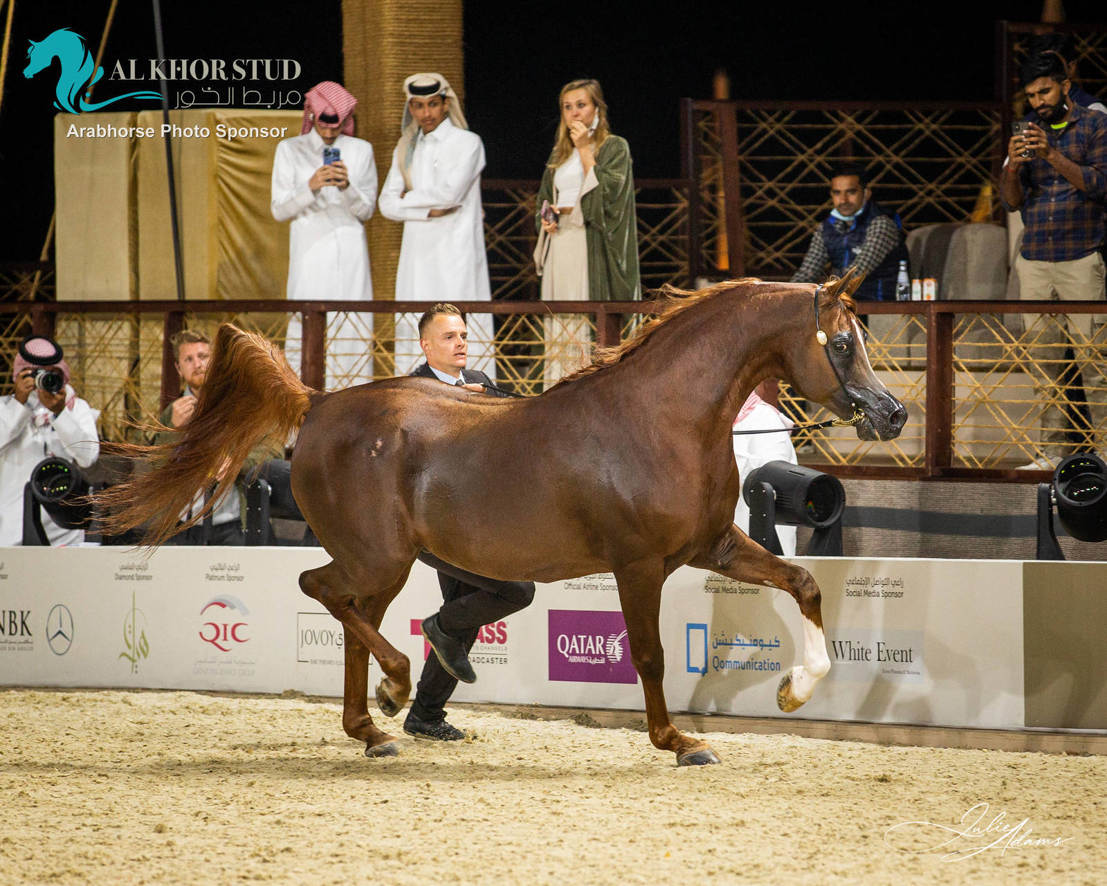 DAY 3 OF 2022 KATARA INTERNATIONAL ARABIAN HORSE FESTIVAL TITLE SHOW
