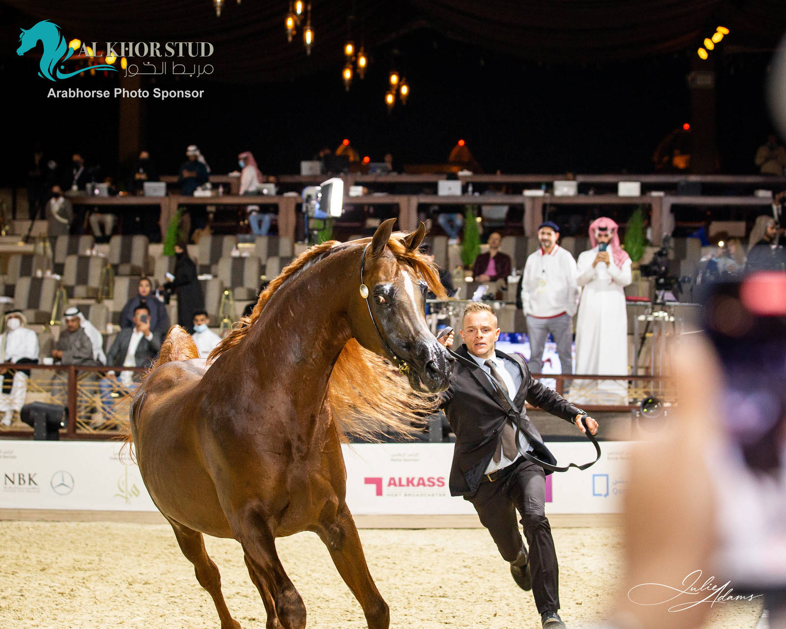 DAY 3 OF 2022 KATARA INTERNATIONAL ARABIAN HORSE FESTIVAL TITLE SHOW