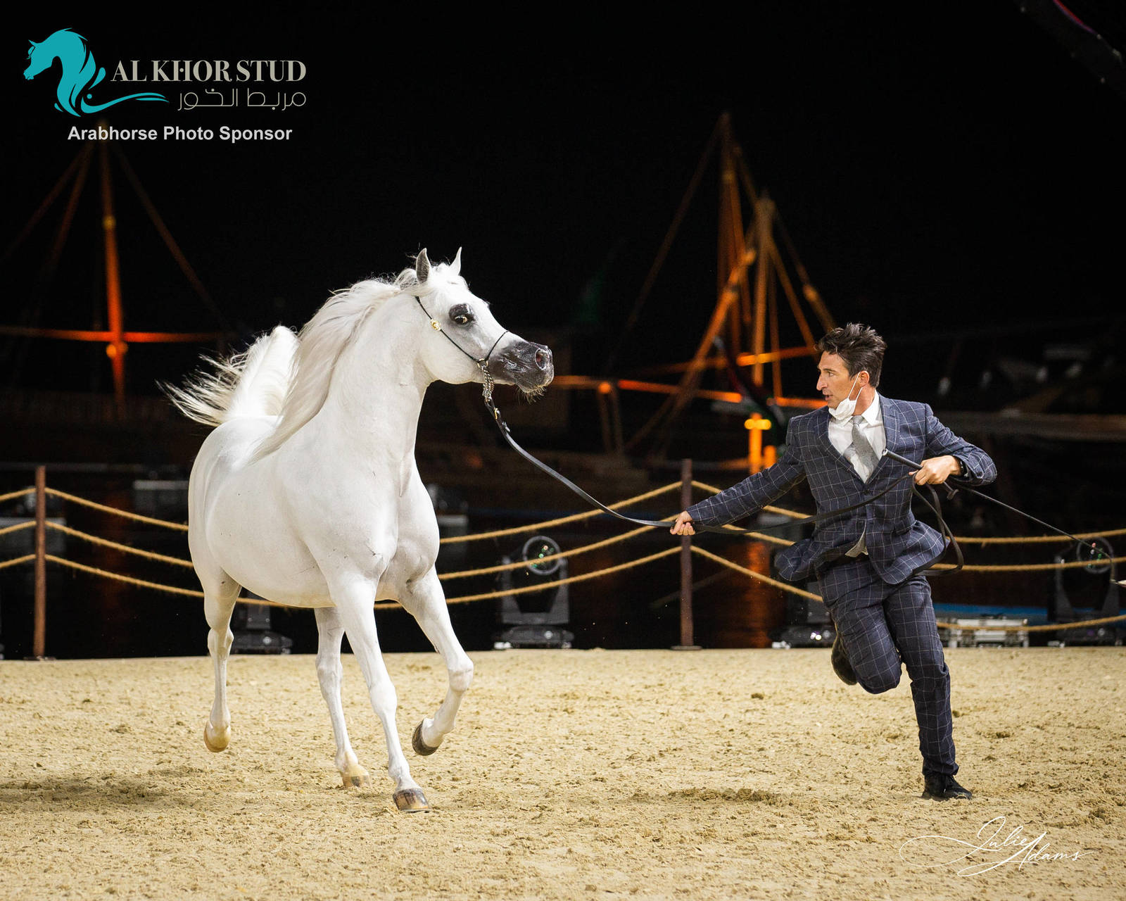 DAY 3 OF 2022 KATARA INTERNATIONAL ARABIAN HORSE FESTIVAL TITLE SHOW