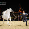DAY 3 OF 2022 KATARA INTERNATIONAL ARABIAN HORSE FESTIVAL TITLE SHOW
