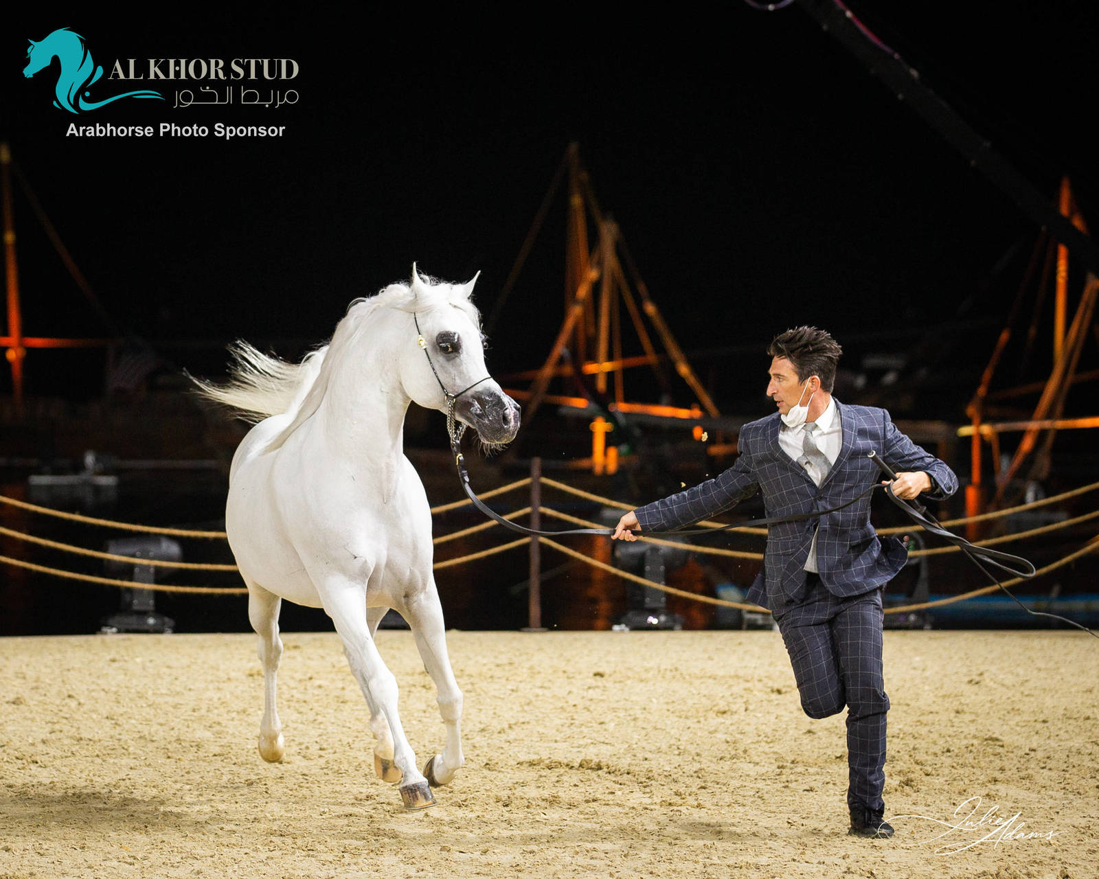 DAY 3 OF 2022 KATARA INTERNATIONAL ARABIAN HORSE FESTIVAL TITLE SHOW