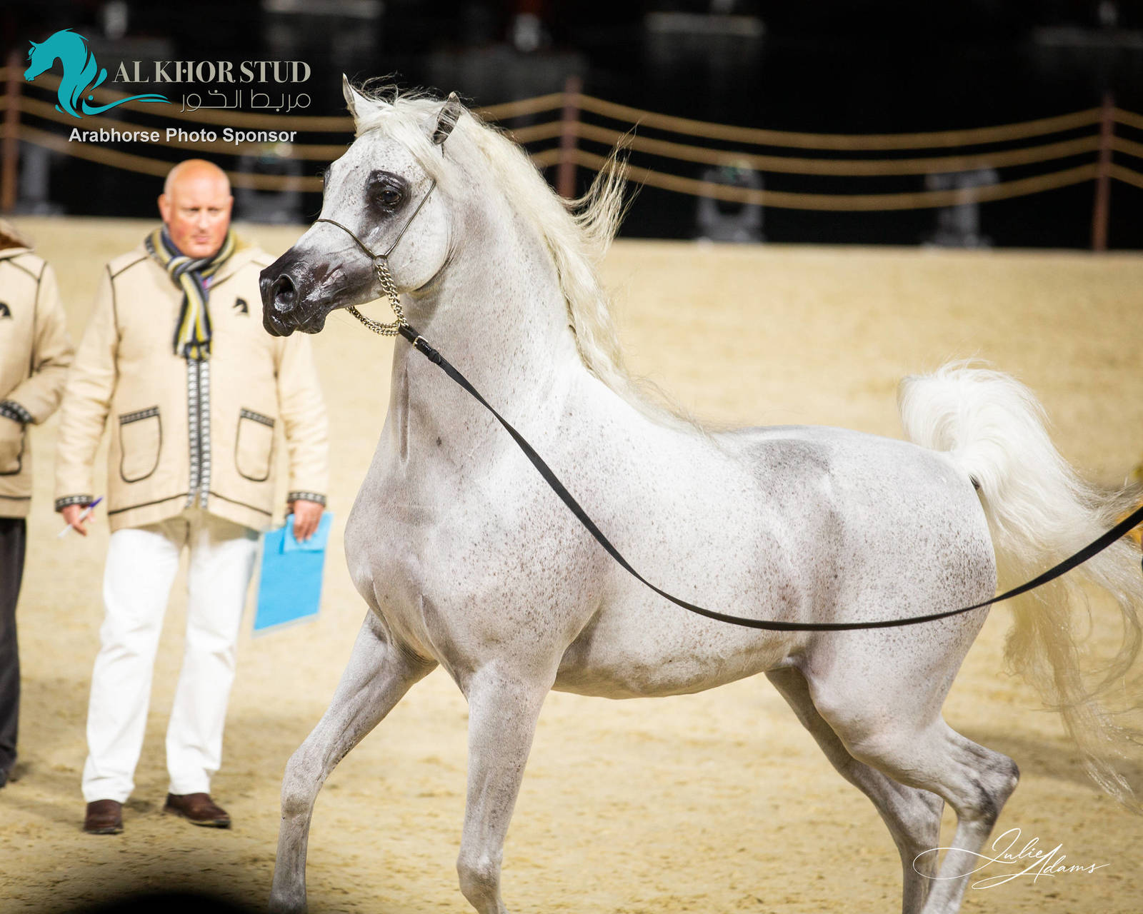 DAY 3 OF 2022 KATARA INTERNATIONAL ARABIAN HORSE FESTIVAL TITLE SHOW
