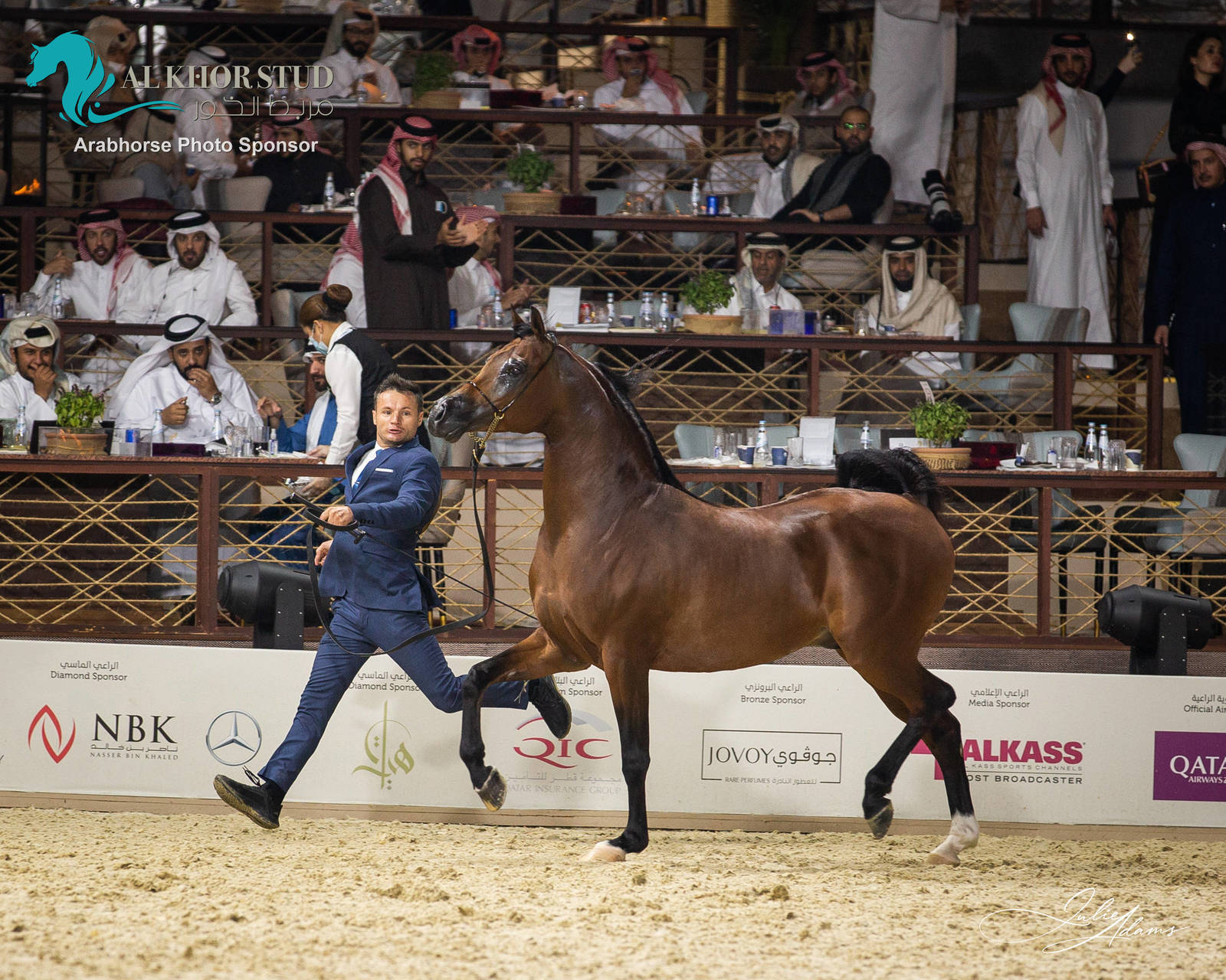 DAY 3 OF 2022 KATARA INTERNATIONAL ARABIAN HORSE FESTIVAL TITLE SHOW