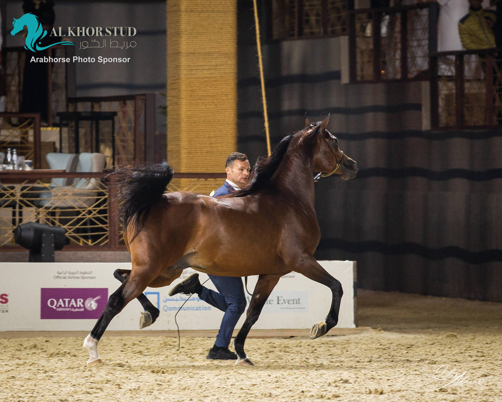 DAY 3 OF 2022 KATARA INTERNATIONAL ARABIAN HORSE FESTIVAL TITLE SHOW