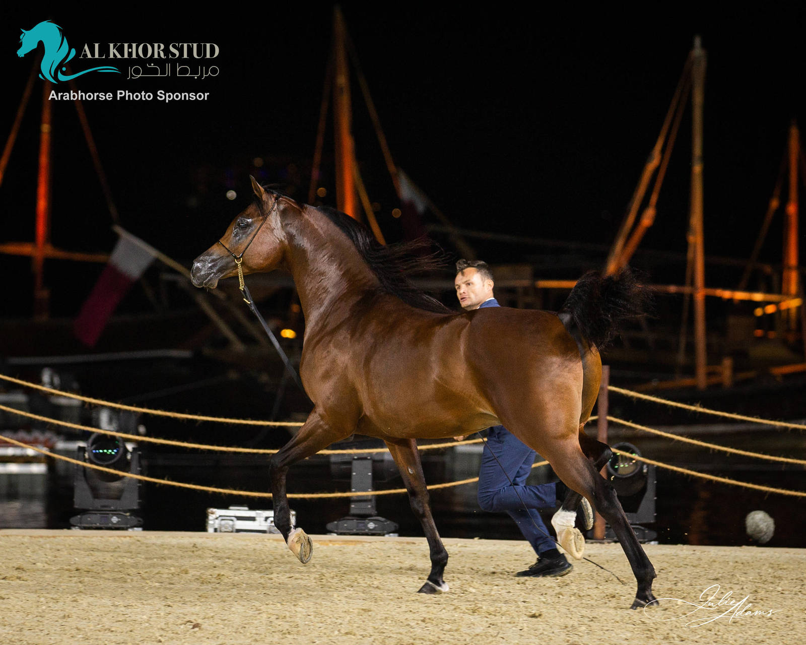 DAY 3 OF 2022 KATARA INTERNATIONAL ARABIAN HORSE FESTIVAL TITLE SHOW