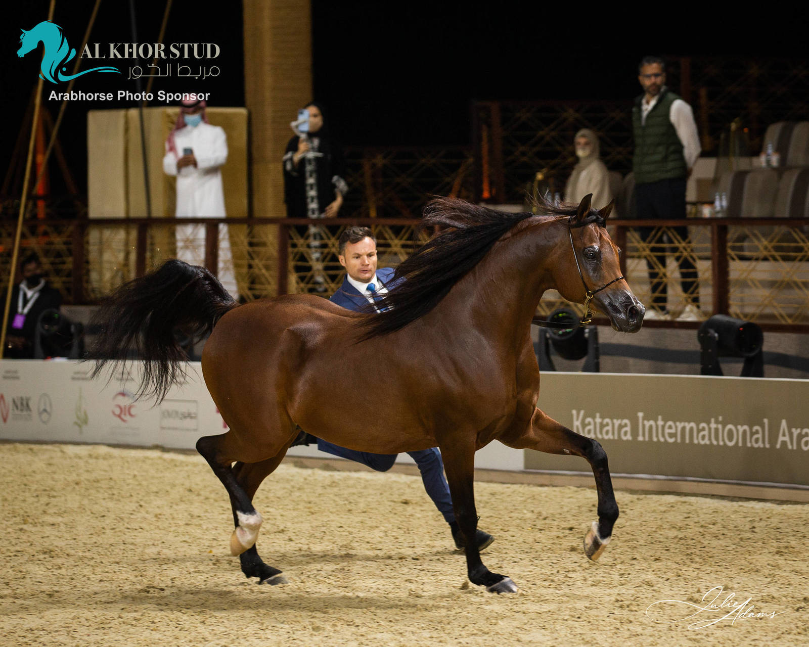 DAY 3 OF 2022 KATARA INTERNATIONAL ARABIAN HORSE FESTIVAL TITLE SHOW