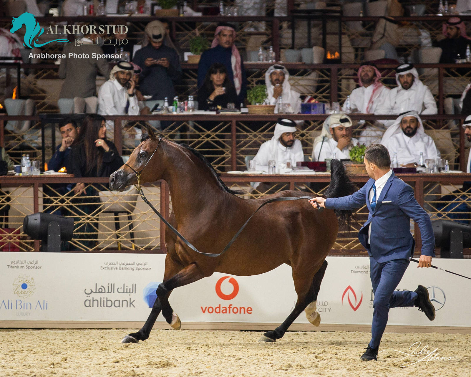 DAY 3 OF 2022 KATARA INTERNATIONAL ARABIAN HORSE FESTIVAL TITLE SHOW