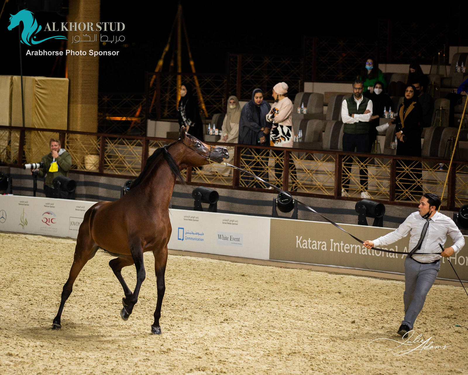 DAY 3 OF 2022 KATARA INTERNATIONAL ARABIAN HORSE FESTIVAL TITLE SHOW