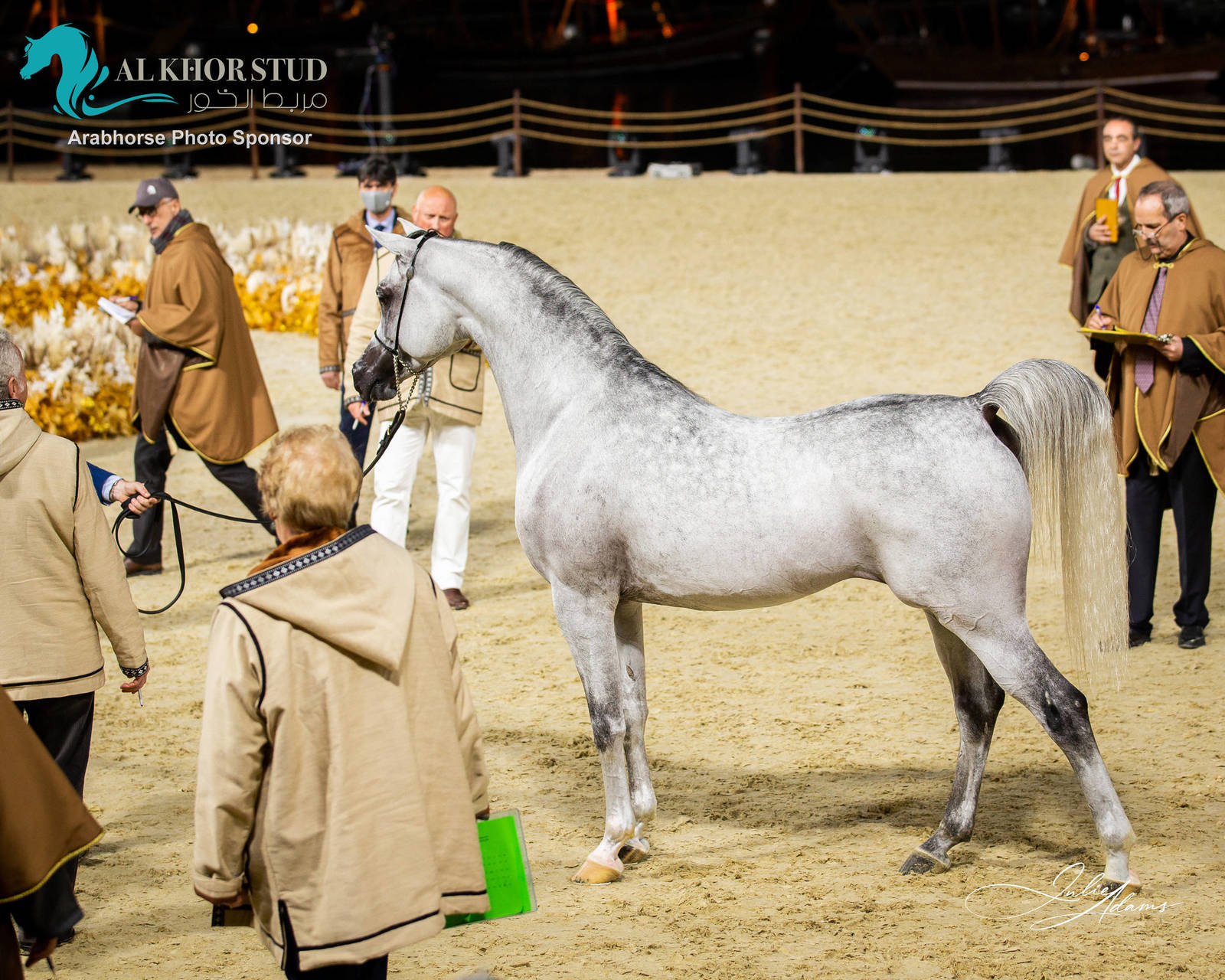 DAY 3 OF 2022 KATARA INTERNATIONAL ARABIAN HORSE FESTIVAL TITLE SHOW