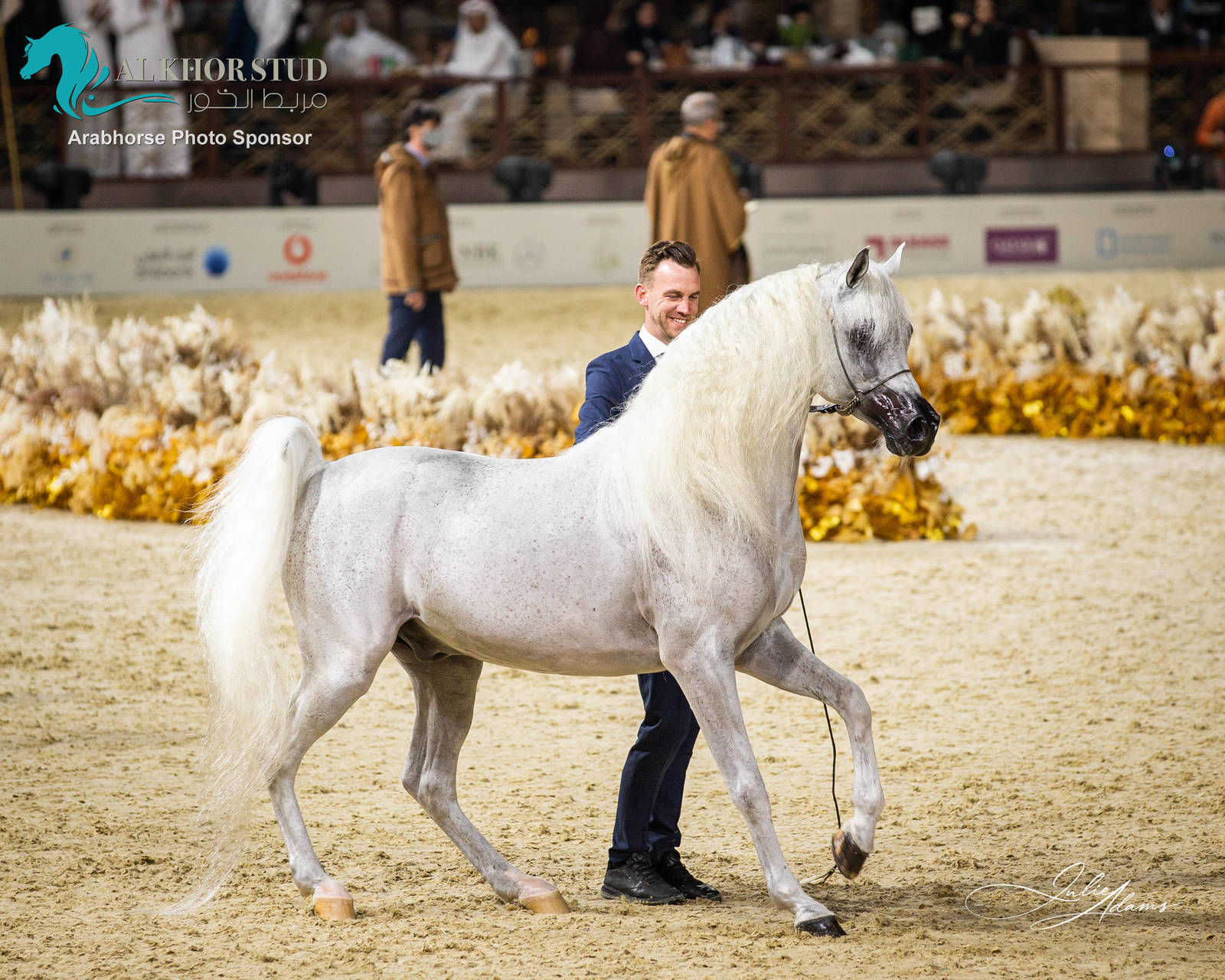 DAY 3 OF 2022 KATARA INTERNATIONAL ARABIAN HORSE FESTIVAL TITLE SHOW
