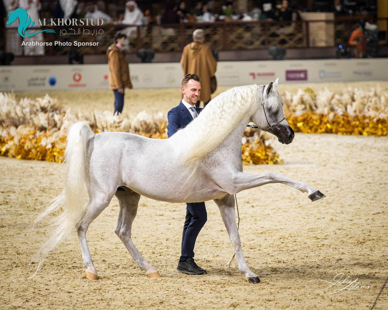 DAY 3 OF 2022 KATARA INTERNATIONAL ARABIAN HORSE FESTIVAL TITLE SHOW