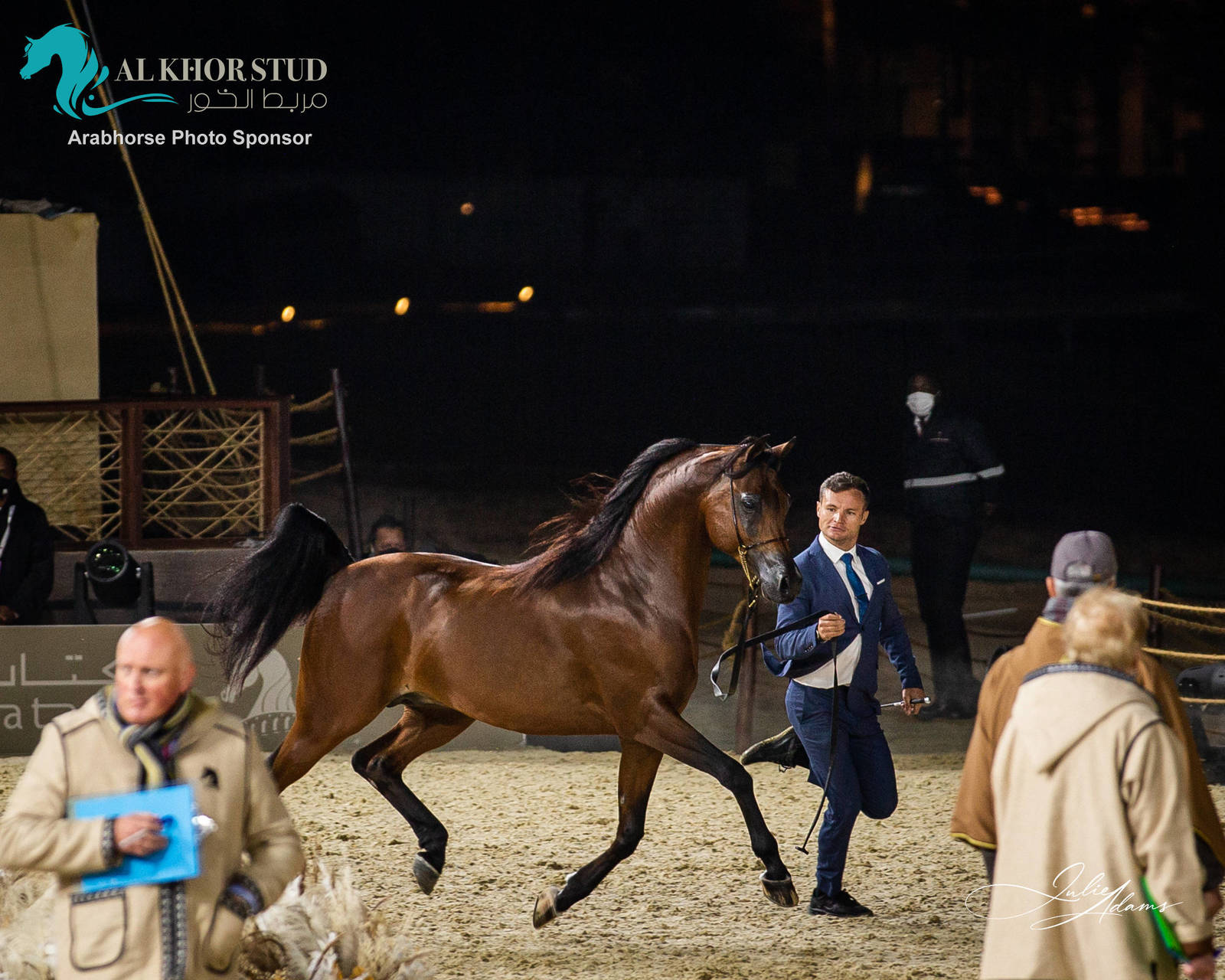 DAY 3 OF 2022 KATARA INTERNATIONAL ARABIAN HORSE FESTIVAL TITLE SHOW