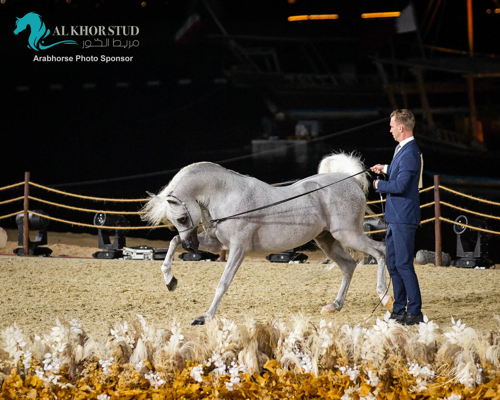 DAY 3 OF 2022 KATARA INTERNATIONAL ARABIAN HORSE FESTIVAL TITLE SHOW