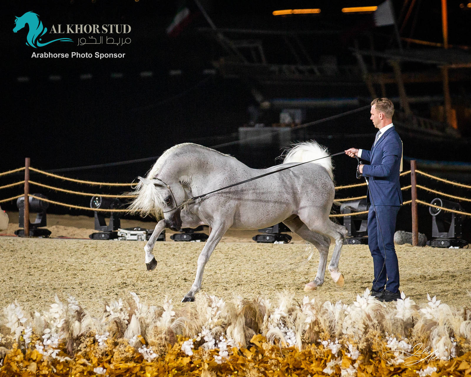 DAY 3 OF 2022 KATARA INTERNATIONAL ARABIAN HORSE FESTIVAL TITLE SHOW