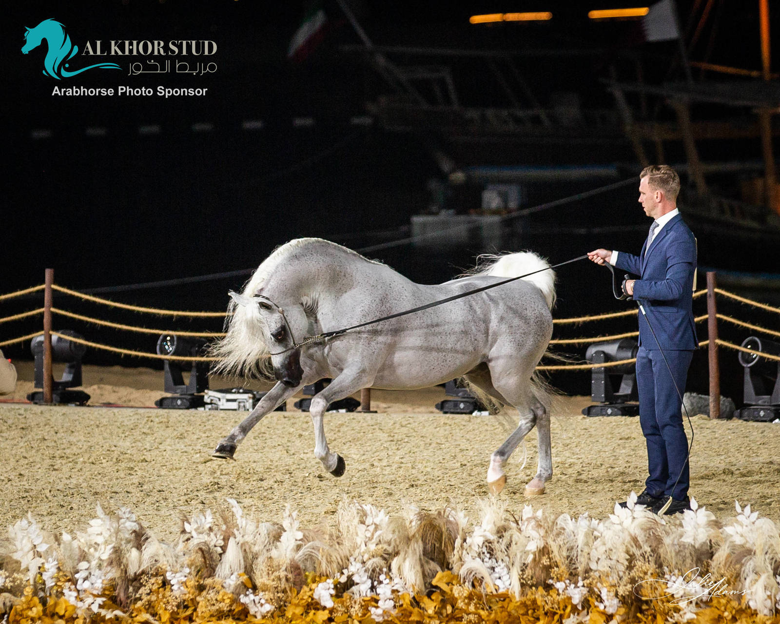 DAY 3 OF 2022 KATARA INTERNATIONAL ARABIAN HORSE FESTIVAL TITLE SHOW