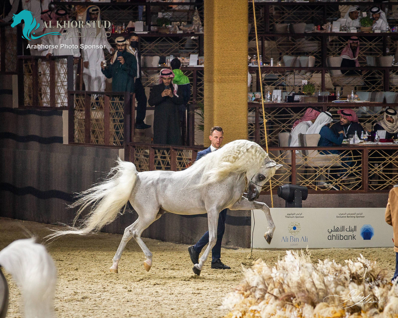 DAY 3 OF 2022 KATARA INTERNATIONAL ARABIAN HORSE FESTIVAL TITLE SHOW