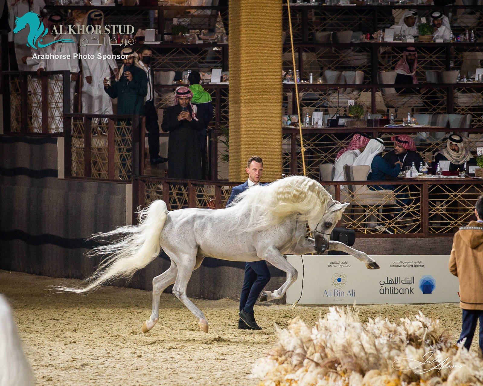 DAY 3 OF 2022 KATARA INTERNATIONAL ARABIAN HORSE FESTIVAL TITLE SHOW