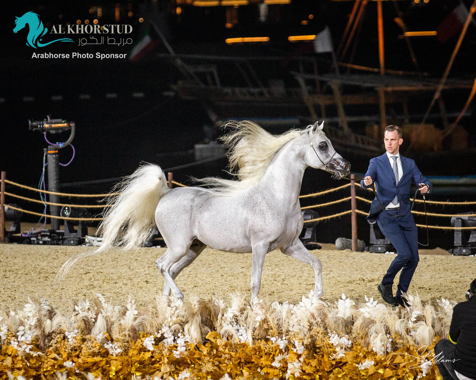 DAY 3 OF 2022 KATARA INTERNATIONAL ARABIAN HORSE FESTIVAL TITLE SHOW