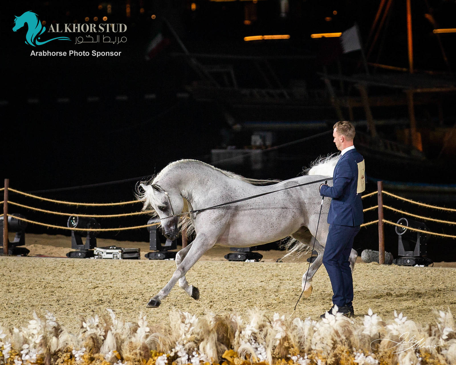 DAY 3 OF 2022 KATARA INTERNATIONAL ARABIAN HORSE FESTIVAL TITLE SHOW