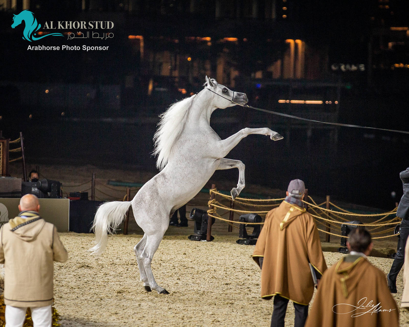 DAY 3 OF 2022 KATARA INTERNATIONAL ARABIAN HORSE FESTIVAL TITLE SHOW