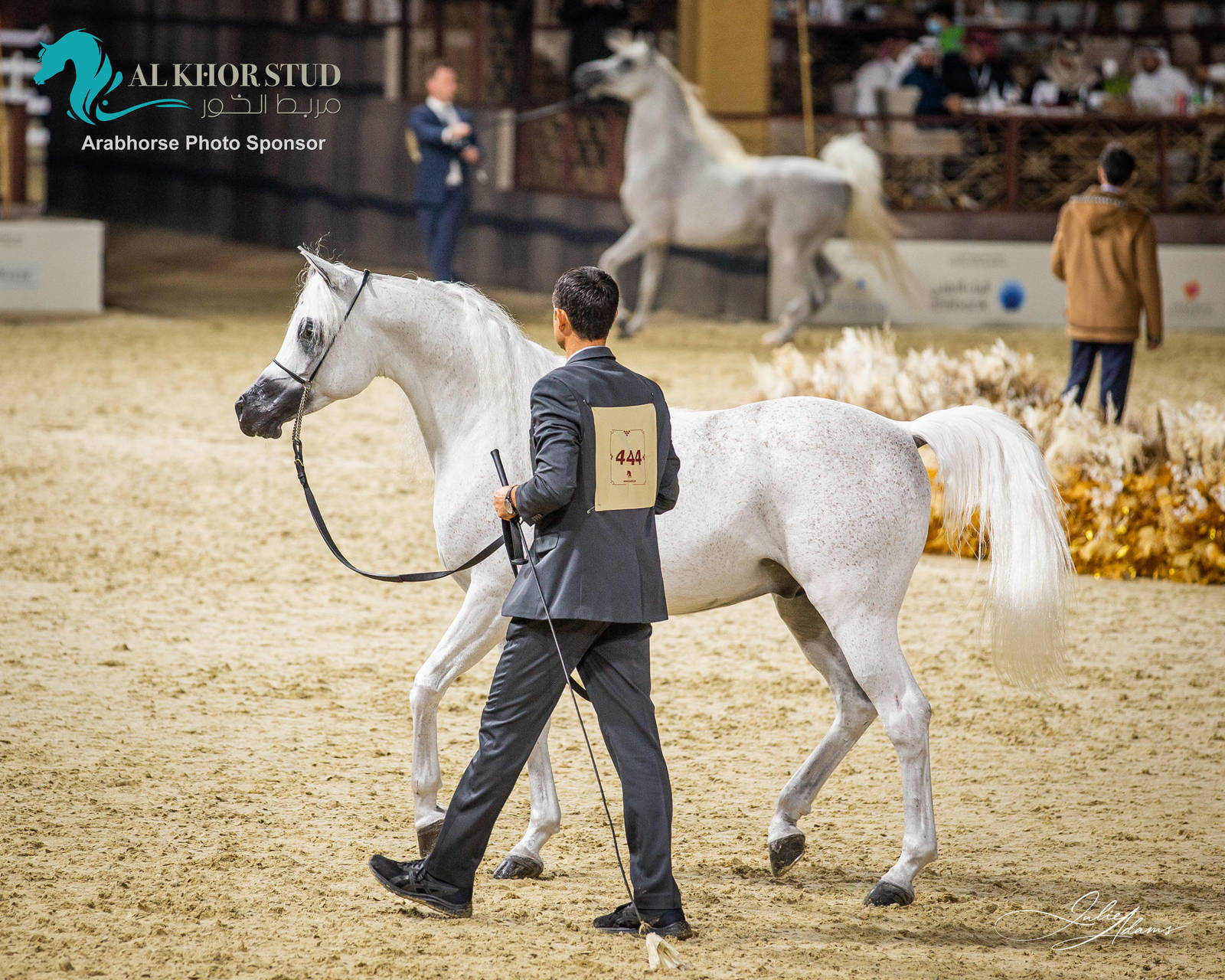 DAY 3 OF 2022 KATARA INTERNATIONAL ARABIAN HORSE FESTIVAL TITLE SHOW
