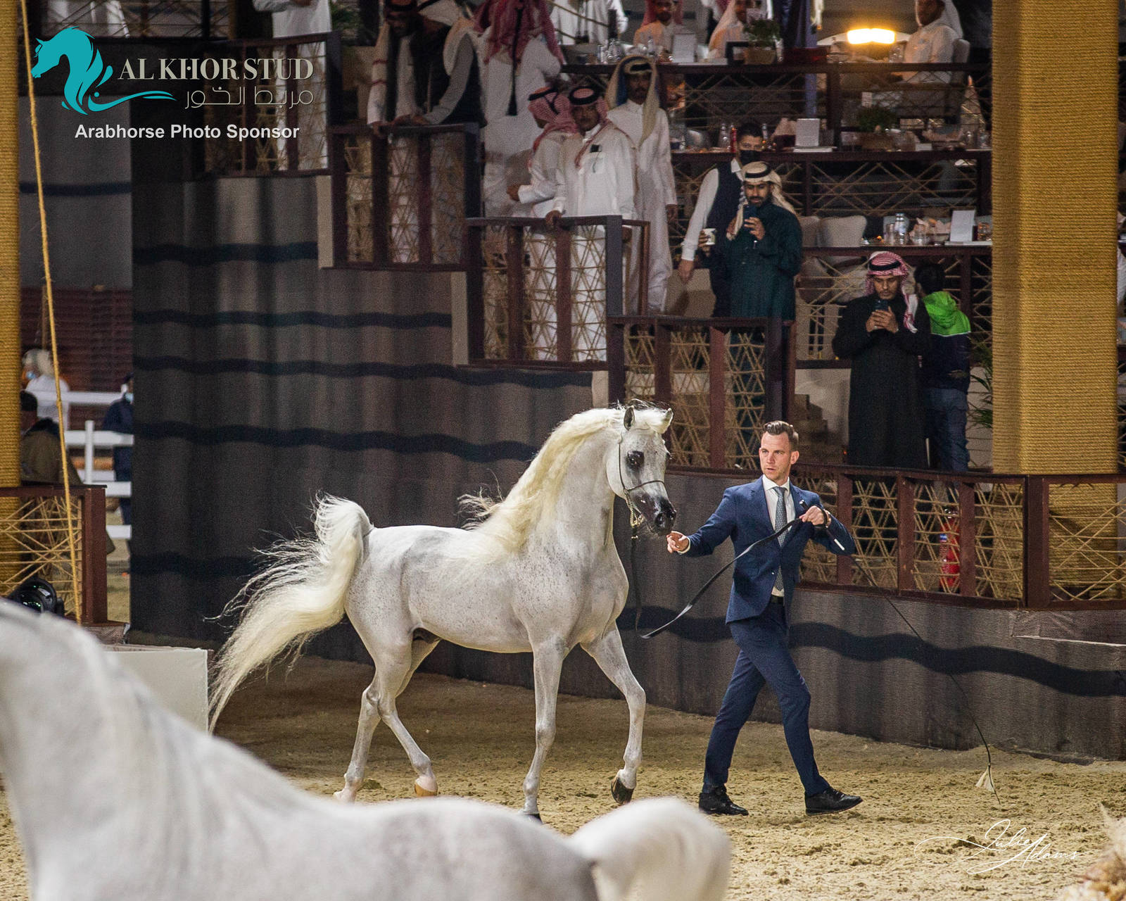 DAY 3 OF 2022 KATARA INTERNATIONAL ARABIAN HORSE FESTIVAL TITLE SHOW