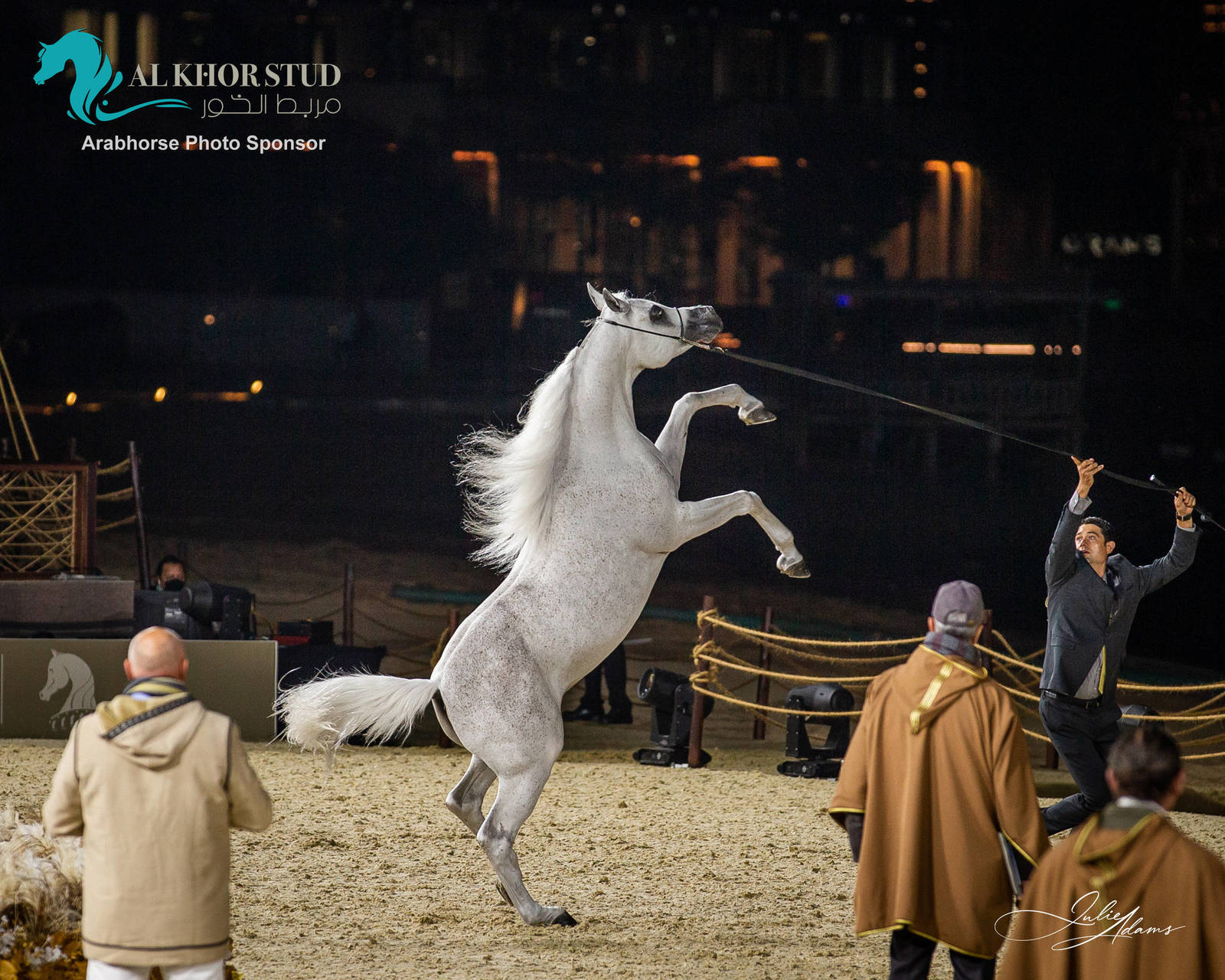 DAY 3 OF 2022 KATARA INTERNATIONAL ARABIAN HORSE FESTIVAL TITLE SHOW