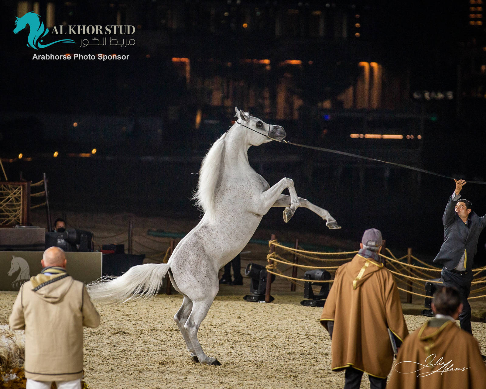 DAY 3 OF 2022 KATARA INTERNATIONAL ARABIAN HORSE FESTIVAL TITLE SHOW