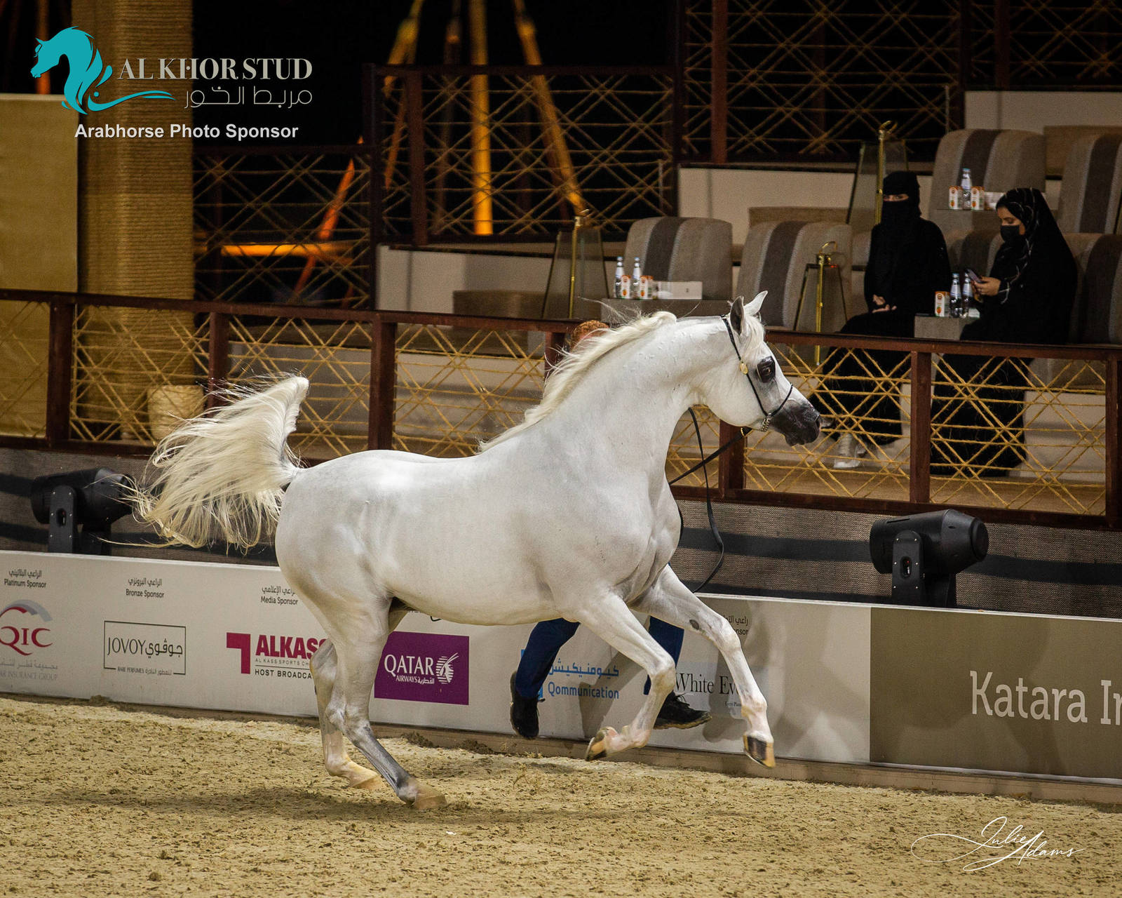 DAY 3 OF 2022 KATARA INTERNATIONAL ARABIAN HORSE FESTIVAL TITLE SHOW
