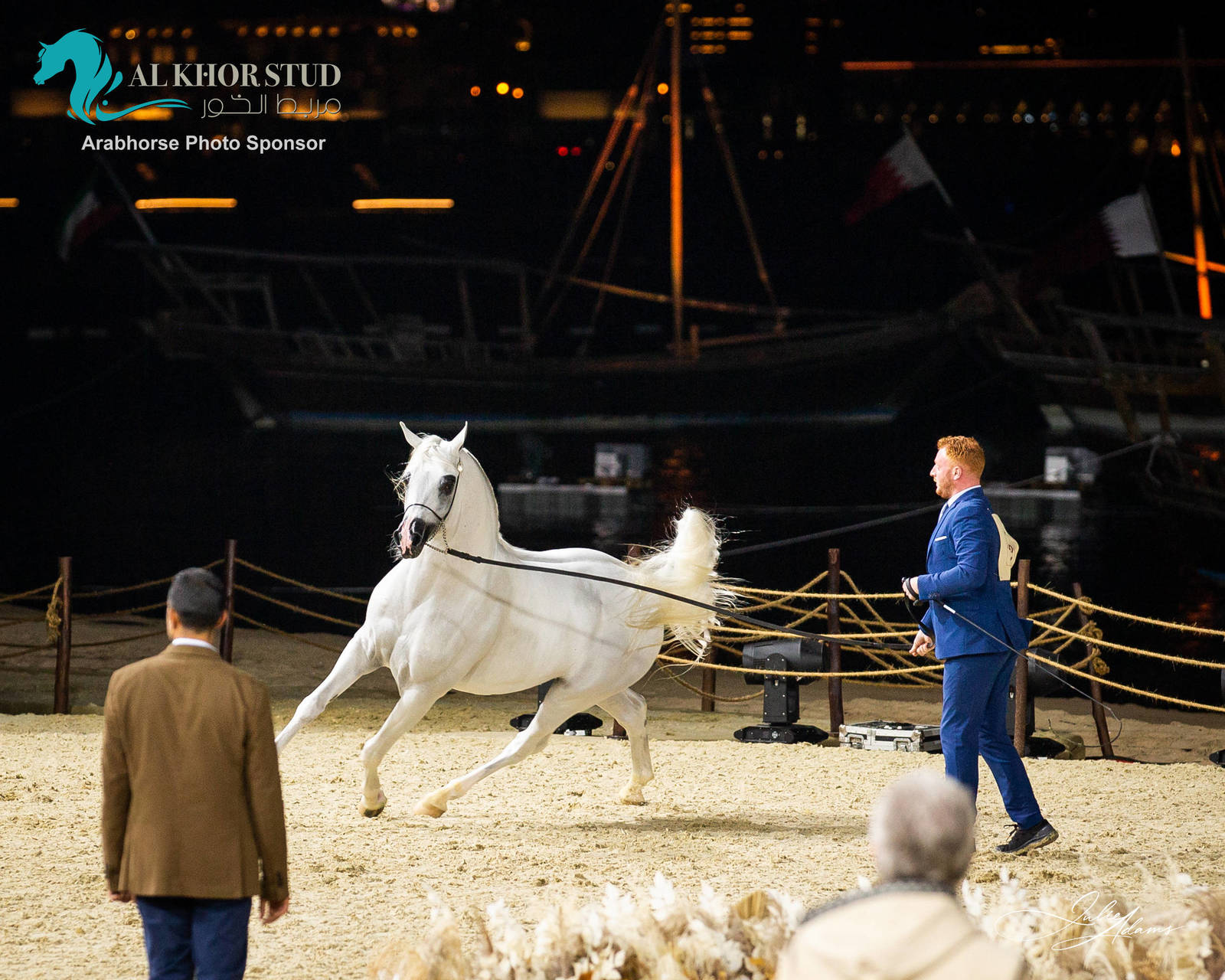 DAY 3 OF 2022 KATARA INTERNATIONAL ARABIAN HORSE FESTIVAL TITLE SHOW