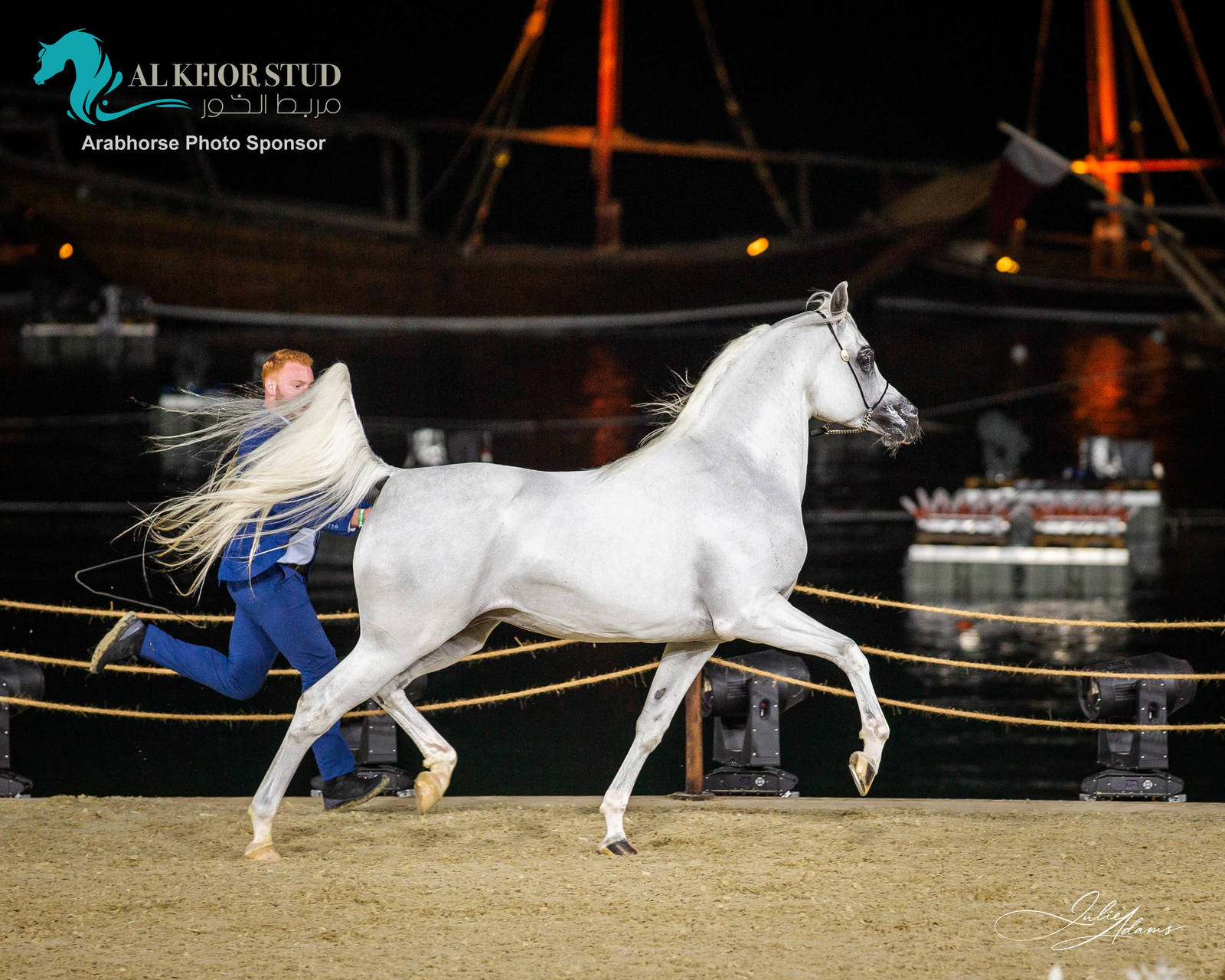 DAY 3 OF 2022 KATARA INTERNATIONAL ARABIAN HORSE FESTIVAL TITLE SHOW