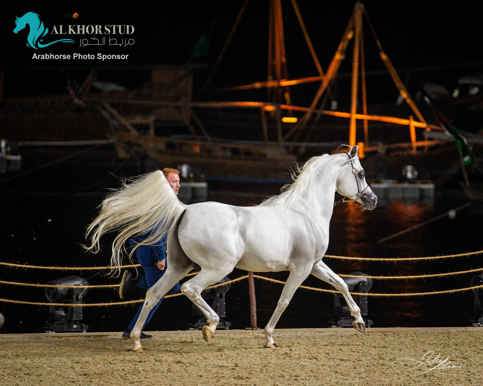DAY 3 OF 2022 KATARA INTERNATIONAL ARABIAN HORSE FESTIVAL TITLE SHOW