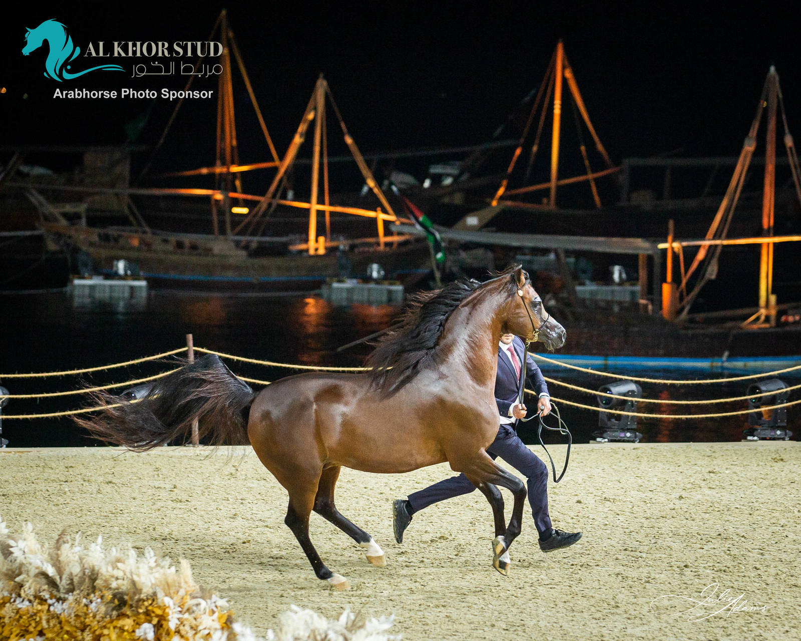 DAY 3 OF 2022 KATARA INTERNATIONAL ARABIAN HORSE FESTIVAL TITLE SHOW