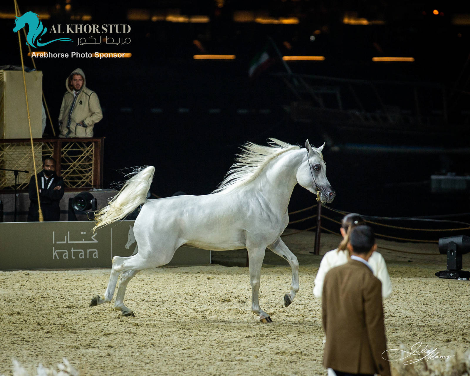 DAY 3 OF 2022 KATARA INTERNATIONAL ARABIAN HORSE FESTIVAL TITLE SHOW
