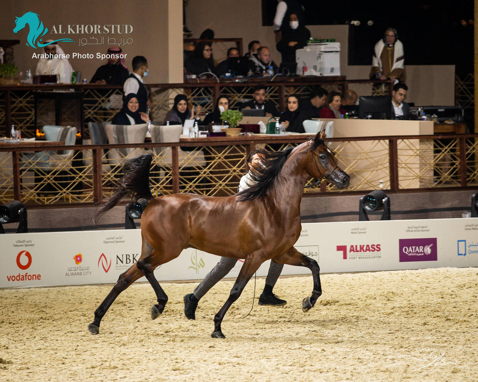 DAY 3 OF 2022 KATARA INTERNATIONAL ARABIAN HORSE FESTIVAL TITLE SHOW