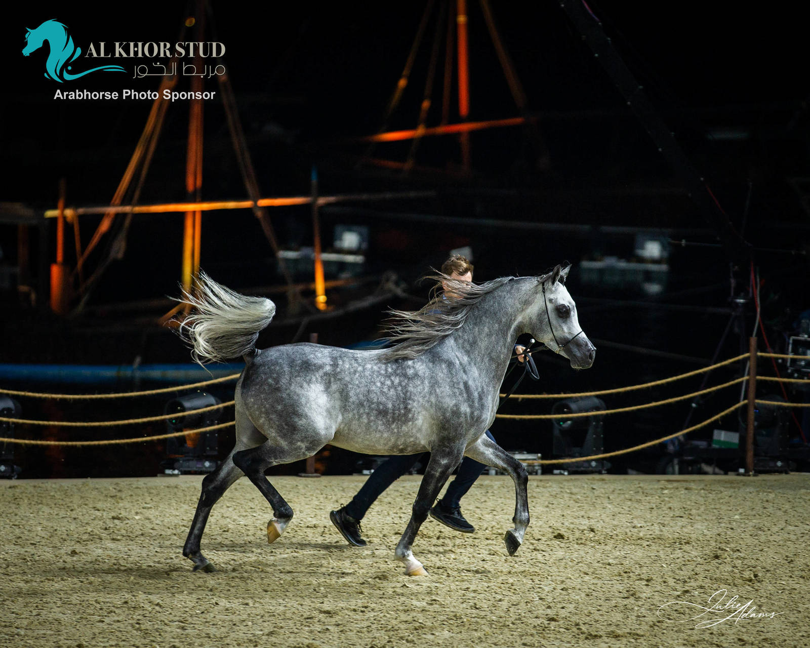 DAY 3 OF 2022 KATARA INTERNATIONAL ARABIAN HORSE FESTIVAL TITLE SHOW