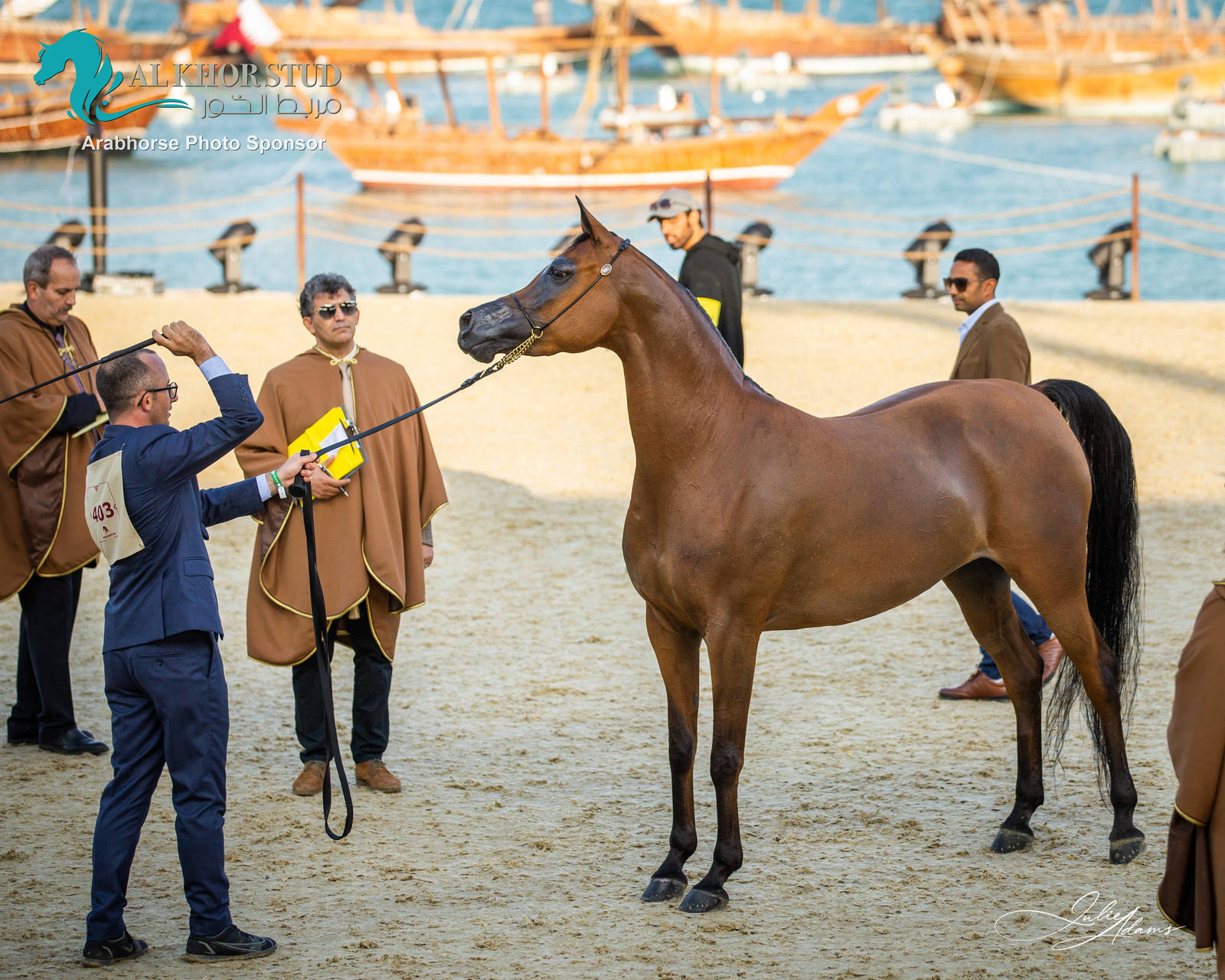 DAY 3 OF 2022 KATARA INTERNATIONAL ARABIAN HORSE FESTIVAL TITLE SHOW